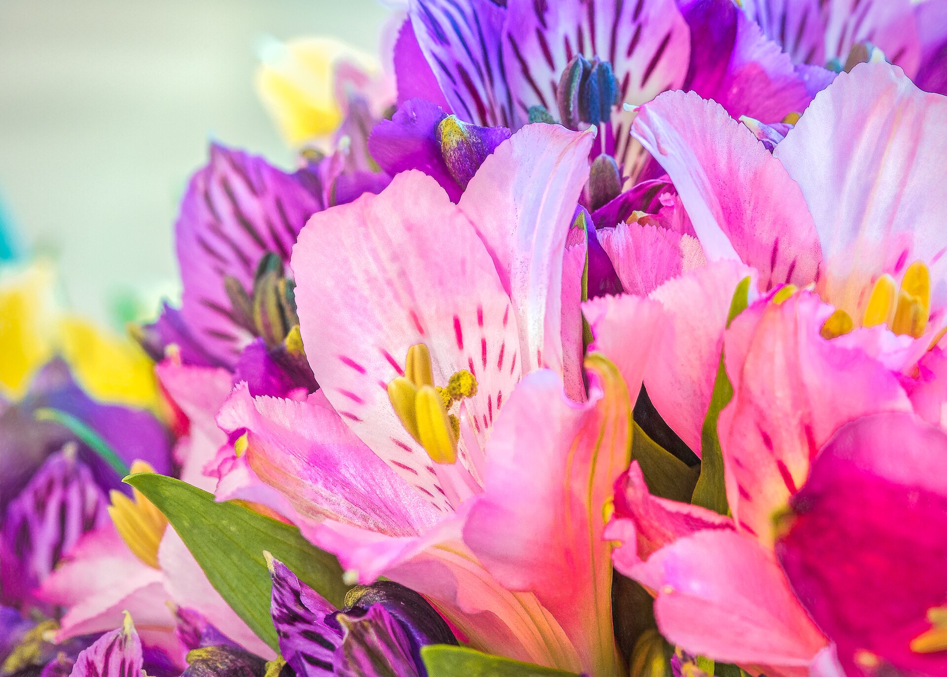Artfully arranged commercial floral bouquet featuring specialty cut flowers